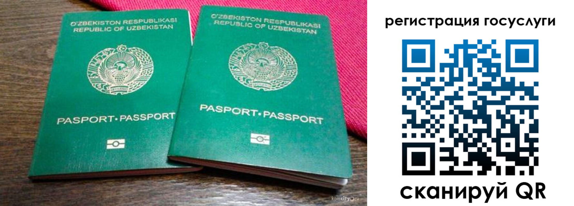 временная регистрация поиск в Новозыбкове